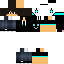 Texture for PAULPKILLER