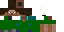 Texture for luigi