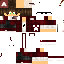 Texture for ds