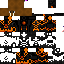 Texture for Walrus robot
