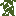 Texture for cave_vines_plant