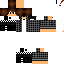 Texture for STEVE