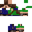 Texture for mestermc