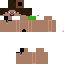 Texture for steve