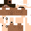 Texture for steve