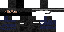 Texture for foxhound