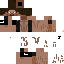 Texture for steve le bgggg