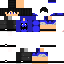 Texture for P3dru blue