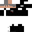 Texture for NINJA
