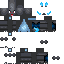 Texture for mega charizard y