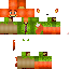 Texture for itr