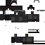Texture for gt