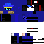 Texture for ninja