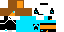 Texture for Steve