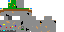 Texture for Chunk Skin