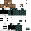 Texture for cs