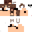 Texture for hm