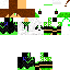 Texture for Steve
