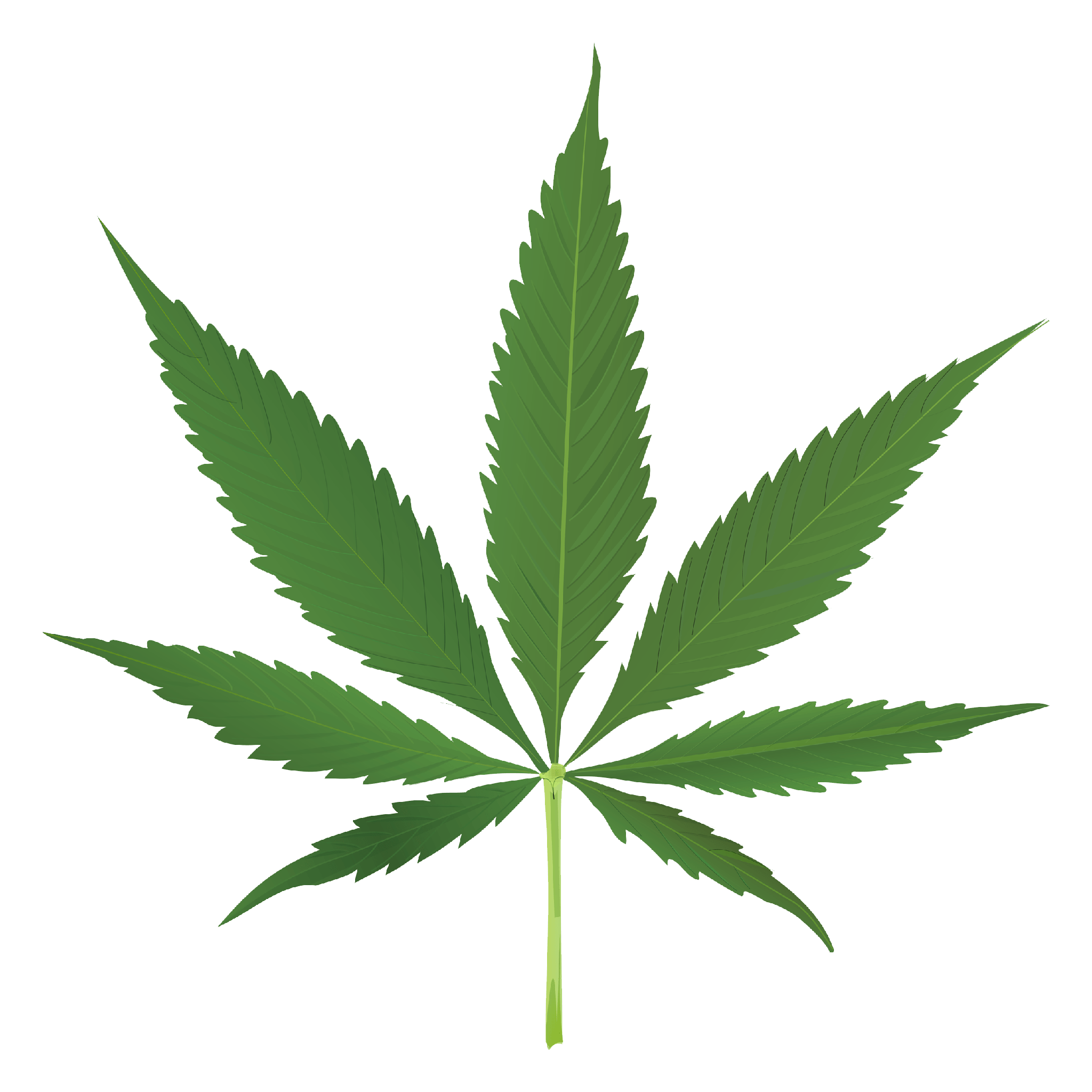 Texture for weed