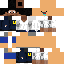 Texture for Nicholasenderman derp swimmer [snapshot]