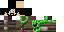 Texture for Creeper Hunter