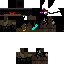 Texture for Ender bot