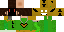 Texture for Lizard shuffler classic