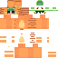 Texture for PUNPUN