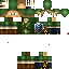Texture for Link