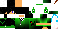 Texture for mineskin
