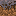 Texture for mycelium_side