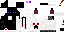 Texture for ender