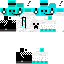 Texture for steve