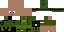 Texture for veitnam invaider