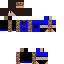 Texture for F L A S H