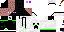 Texture for enderion