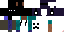 Texture for Ender