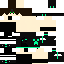 Texture for マイクラスキン