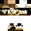 Texture for fr523