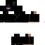 Texture for Ninja