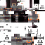 Texture for LavaBotV1