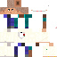 Texture for bnet bus bus