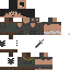 Texture for guts save2