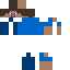 Texture for Steve