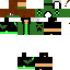 Texture for Ninja
