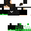 Texture for SneewFactor