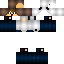 Texture for Skips