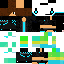 Texture for pim2550