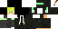 Texture for calvinategms2