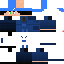 Texture for GOC COMMAND